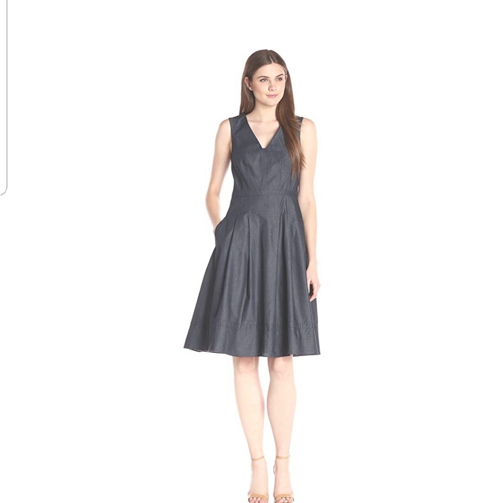 Adrianna Papell Fit and Flare Chambray Dress